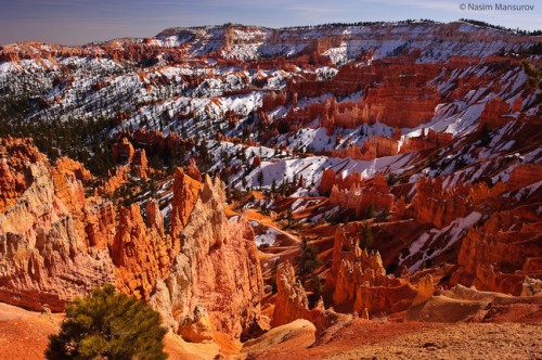 Bryce-Canyon-National-Park-1-650x432