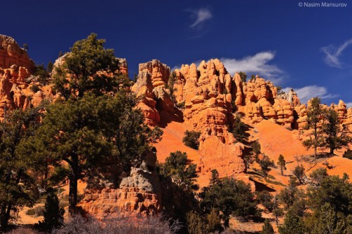 Bryce-Canyon-National-Park-2-650x432