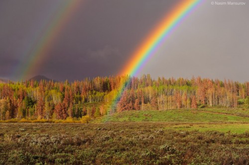 Full-Rainbow-Colors-650x432