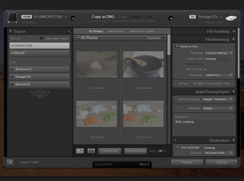 Lightroom-3-Import-Dialog-650x482