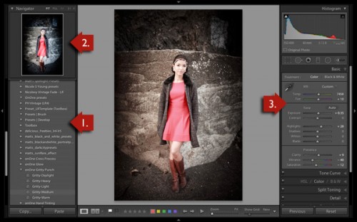 Lightroom-develop-presets-02