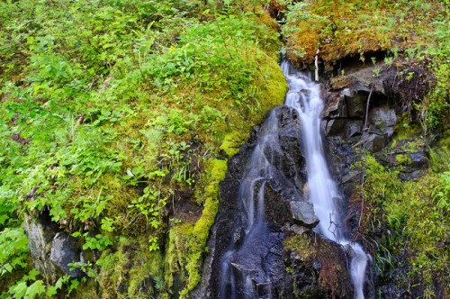 Mt-Rainier-1-650x432