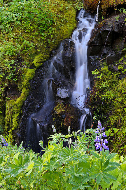 Mt-Rainier-2-432x650