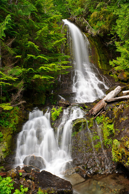 Mt-Rainier-4-432x650