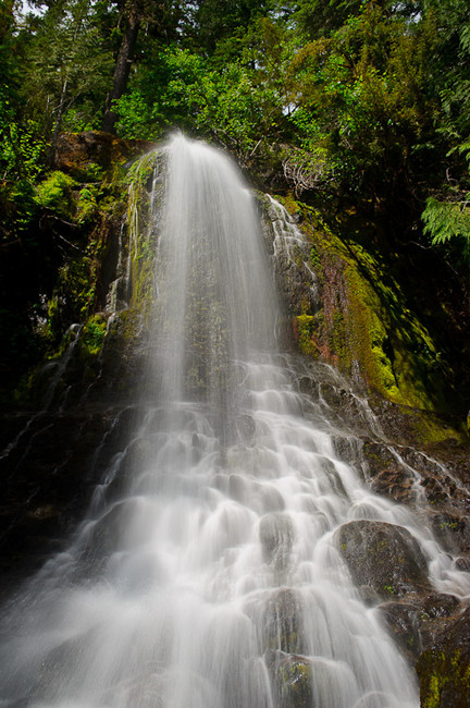 Mt-Rainier-5-432x650