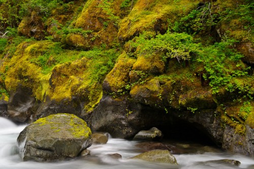 Mt-Rainier-7-650x432