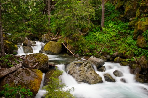 Mt-Rainier-8-650x432