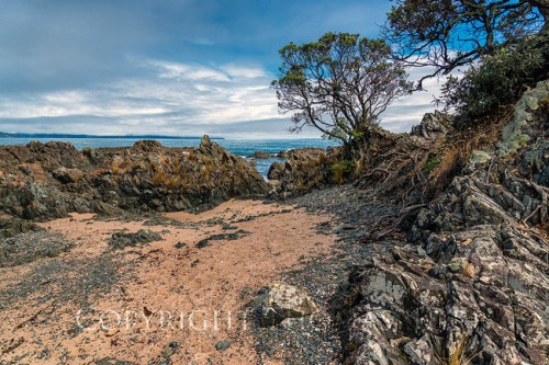 coromandel-650x433