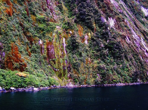 milford-sound-650x487