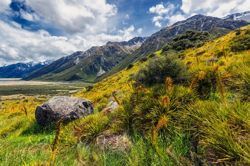 mount-cook-650x433