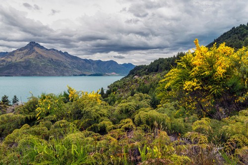 queesntown-to-glenorchy-650x433