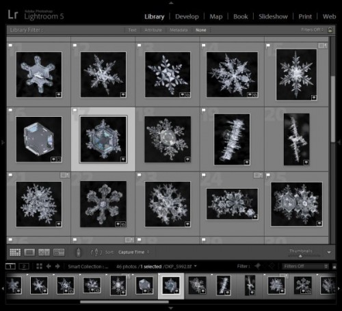 snowflakes-library-600x5461