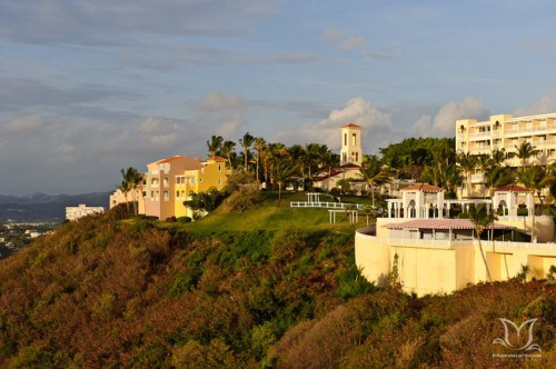 Final-Logo-Watermark-650x432