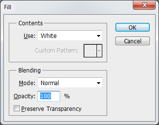 Remove-Moire-5-Fill-Layer-White