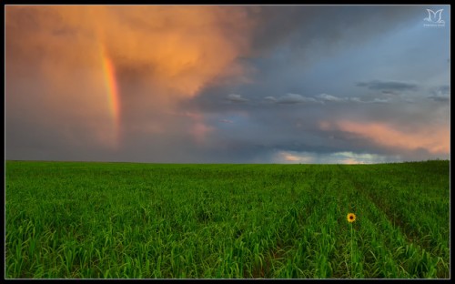 Sunset-Rainbow-650x406