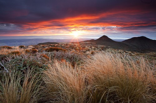 New Zealand stock photos |
