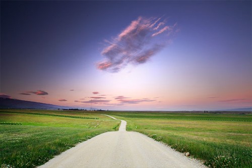 dynamic-landscapes10